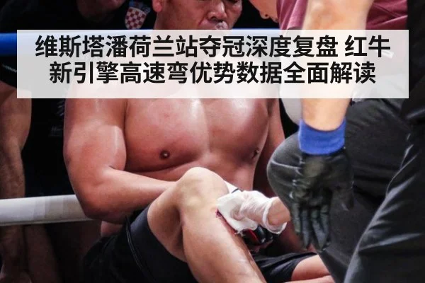 维斯塔潘荷兰站夺冠深度复盘 红牛新引擎高速弯优势数据全面解读